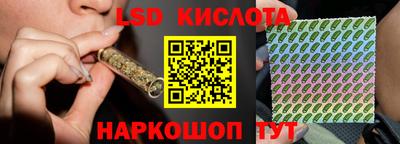 jwh Гусев