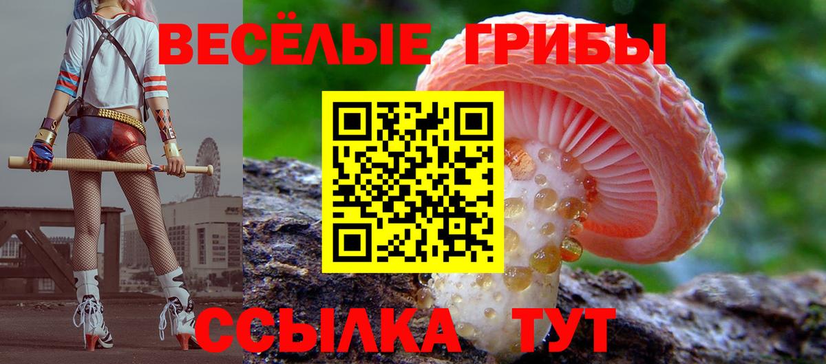 Псилоцибиновые грибы Magic Shrooms  Вход с VPN  Новокузнецк  Галлюциногенные грибы ЛСД 